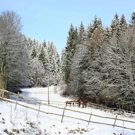 Malerische Erdgeschosswohnung * Urberg