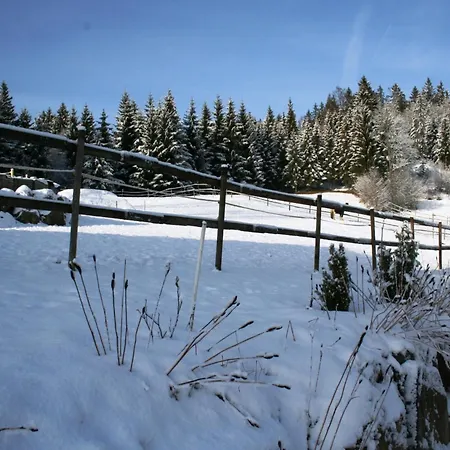 Malerische Erdgeschosswohnung Urberg